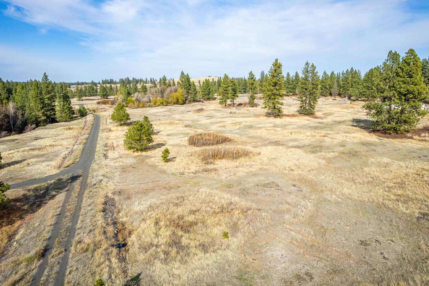 0 West Williams Lake Road Cheney, WA 99004 - Photo 13 of 18