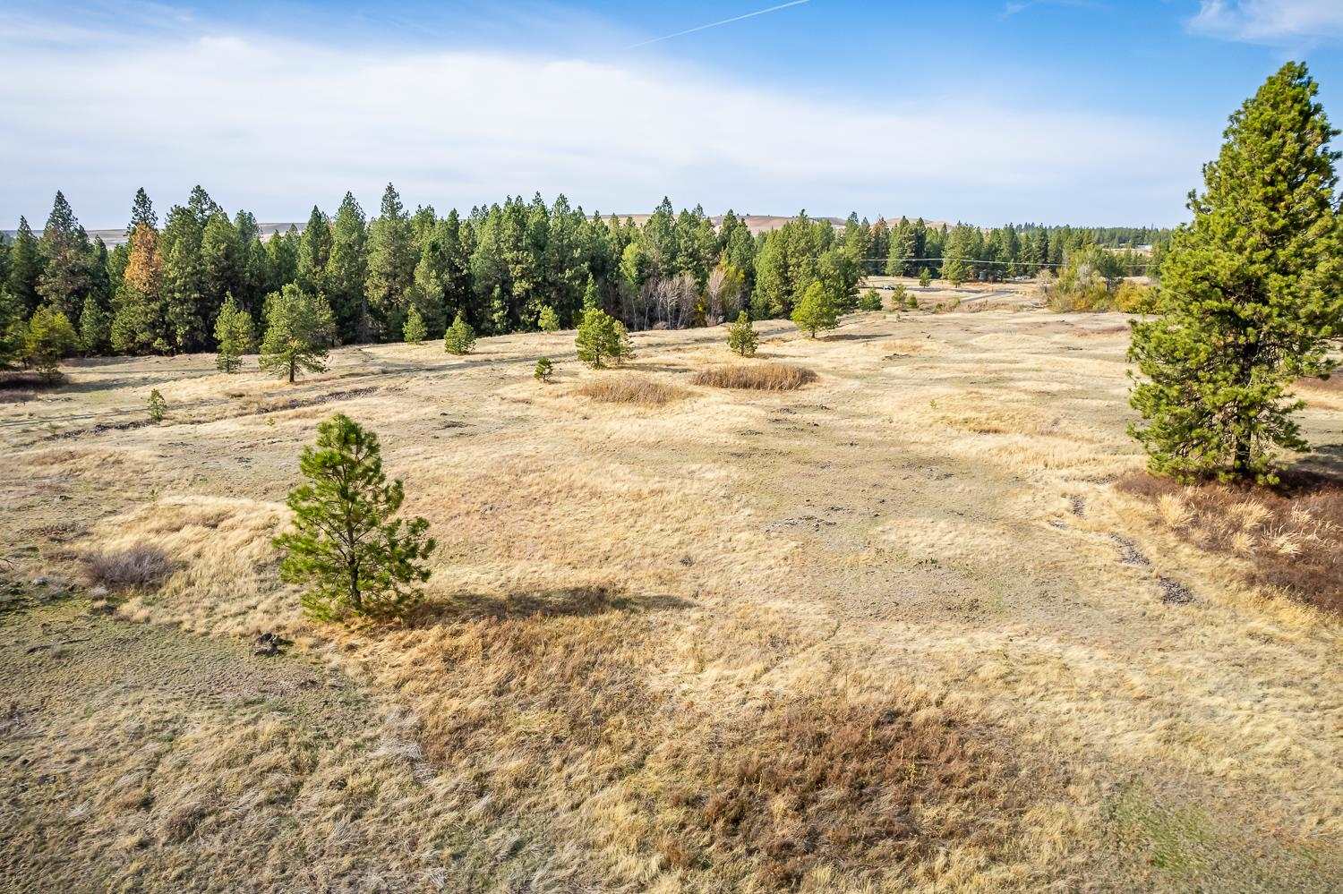 0 West Williams Lake Road Cheney, WA 99004 - Photo 14 of 18