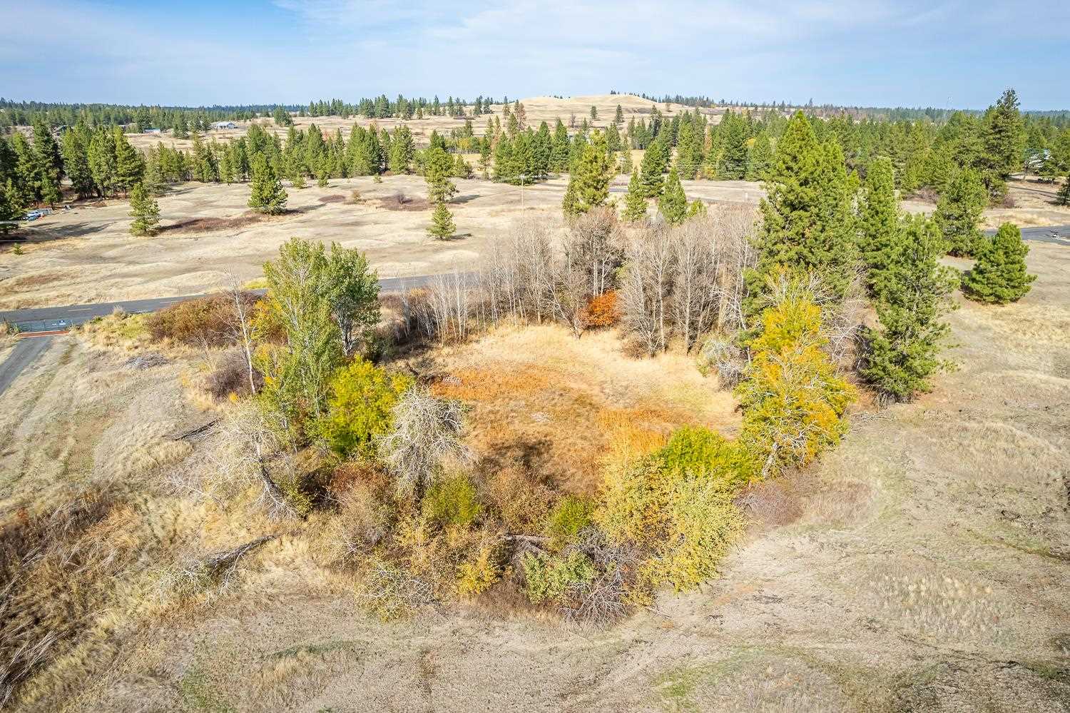 0 West Williams Lake Road Cheney, WA 99004 - Photo 15 of 18