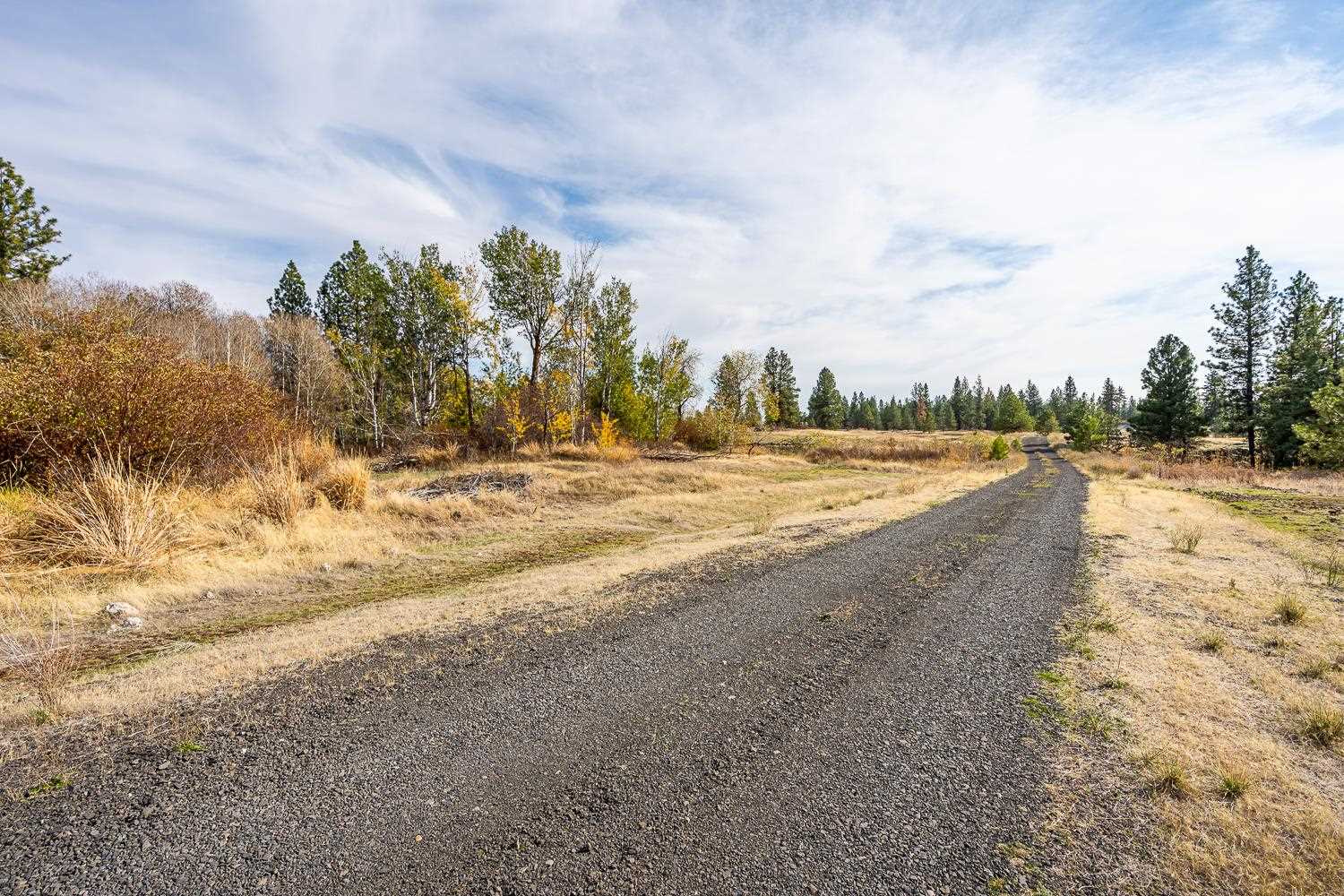 0 West Williams Lake Road Cheney, WA 99004 - Photo 3 of 18