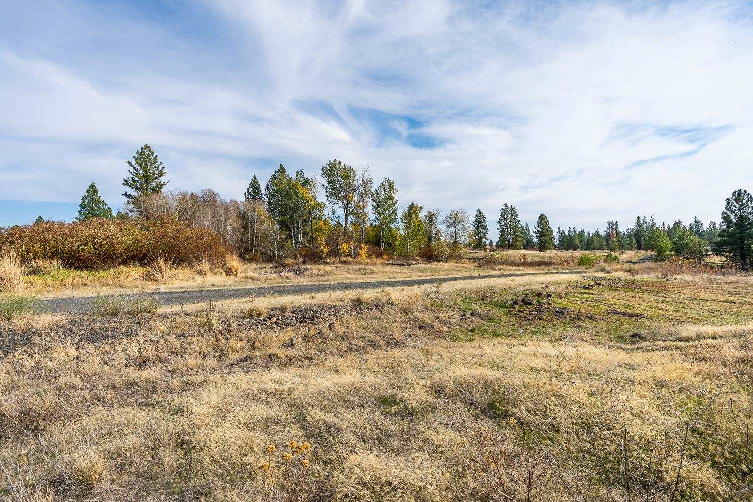 0 West Williams Lake Road Cheney, WA 99004 - Photo 4 of 18
