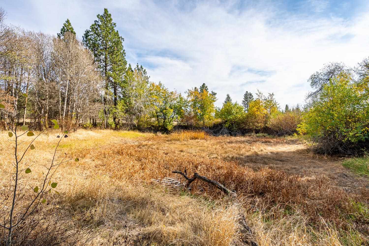 0 West Williams Lake Road Cheney, WA 99004 - Photo 5 of 18