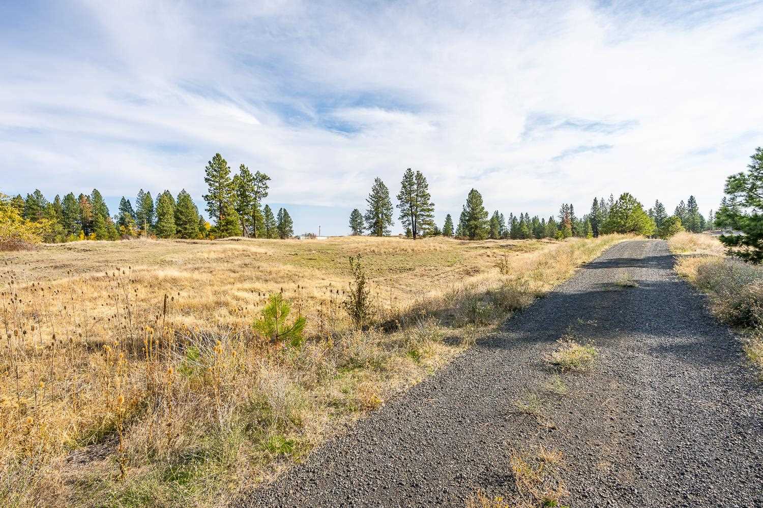 0 West Williams Lake Road Cheney, WA 99004 - Photo 6 of 18
