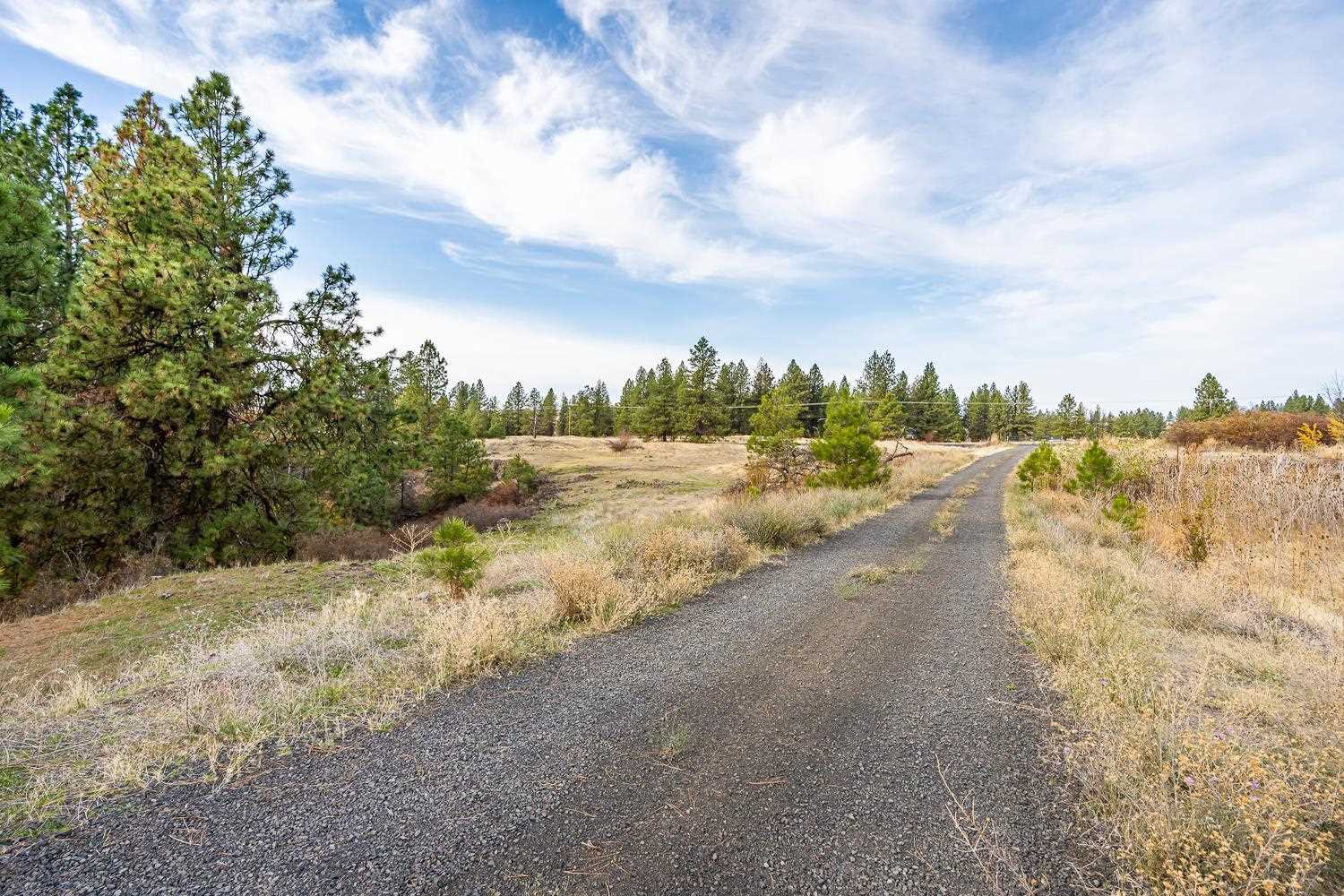0 West Williams Lake Road Cheney, WA 99004 - Photo 7 of 18