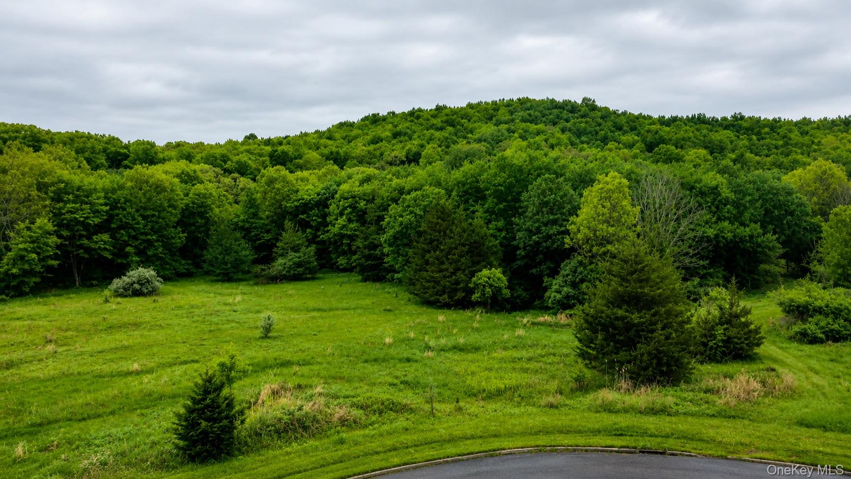 492 Black Meadow Road Chester, NY 10918 - Photo 9 of 18 a green field with lots of bushes