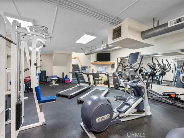 a view of a garden with a tree