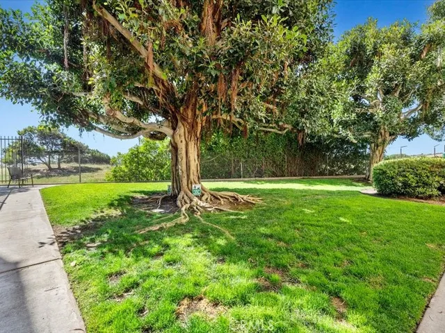 a view of a swimming pool with a lounge chairs