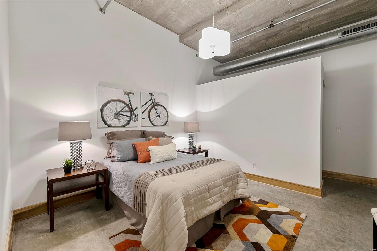 2201 Locust Street, Unit 207 St. Louis, MO 63103 - Photo 5 of 10