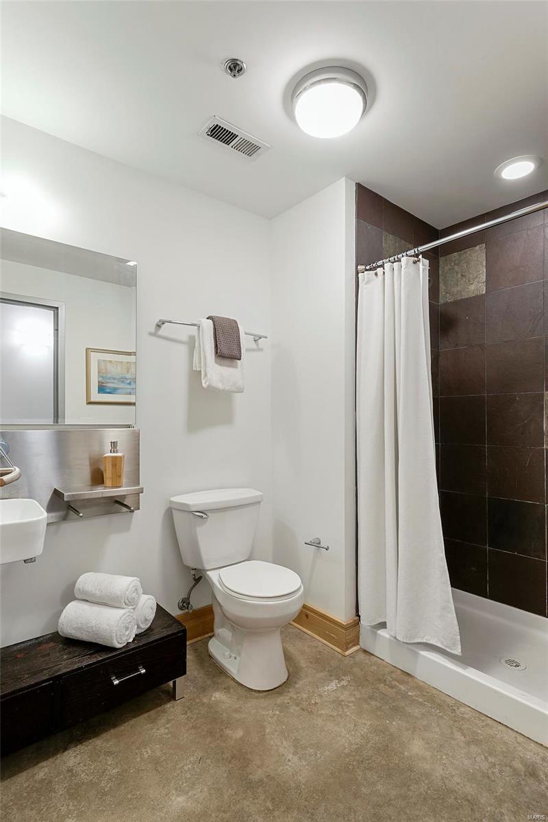 2201 Locust Street, Unit 207 St. Louis, MO 63103 - Photo 7 of 10