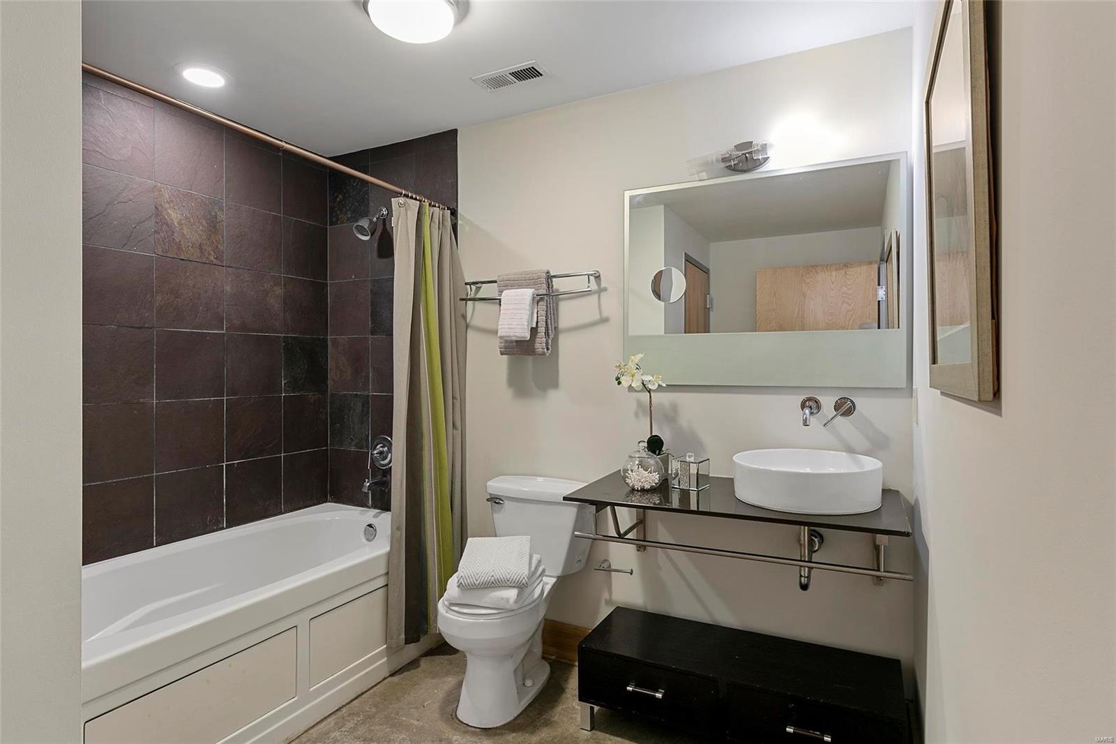 2201 Locust Street, Unit 207 St. Louis, MO 63103 - Photo 9 of 10