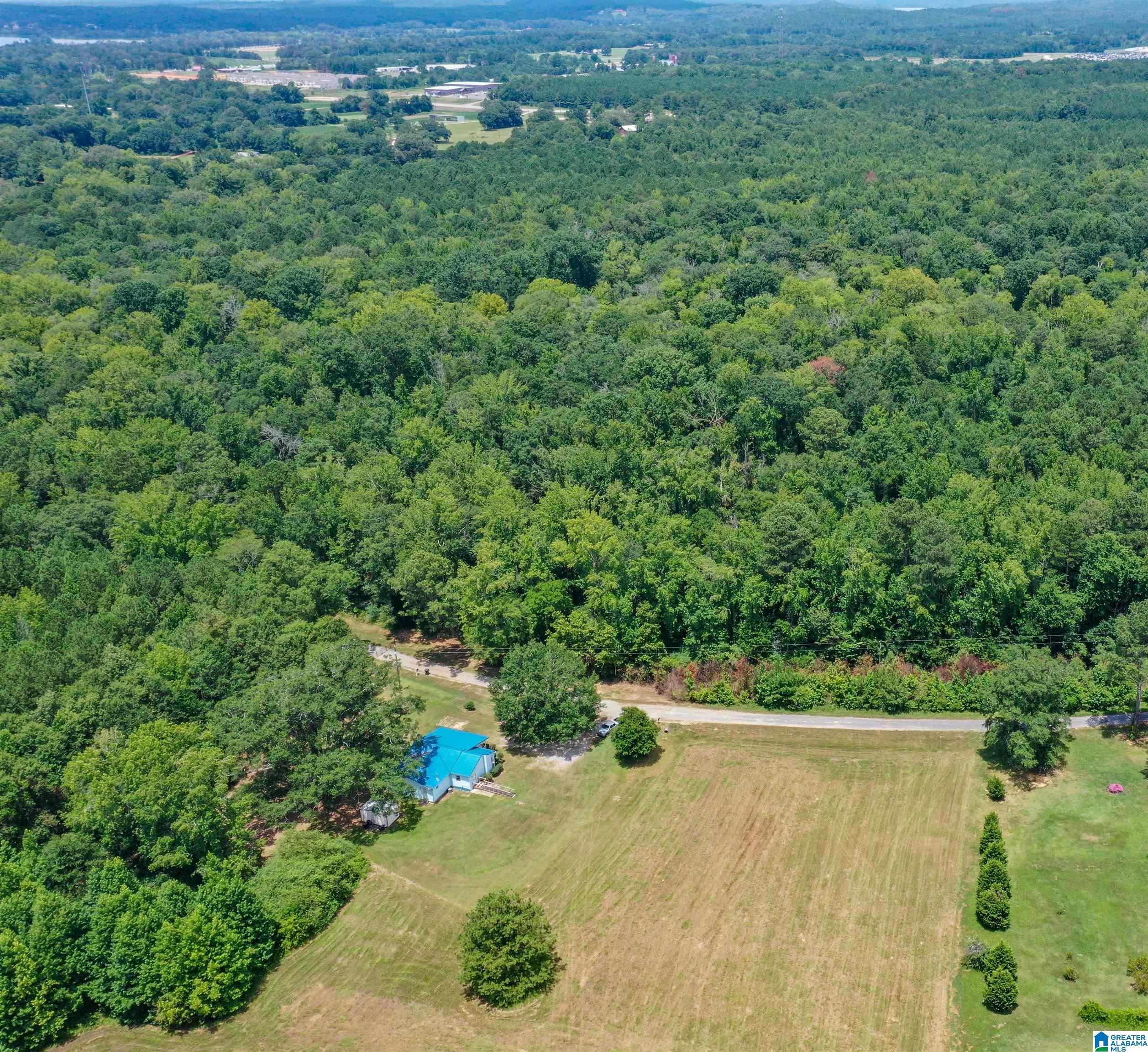 1675 Blue Eye Springs Road Lincoln, AL 35096 - Photo 2 of 60