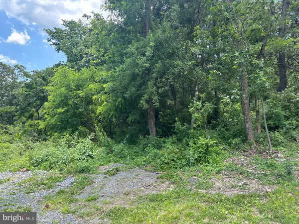 $139,800 | 0 Wardensville Grade, Winchester, VA 22602