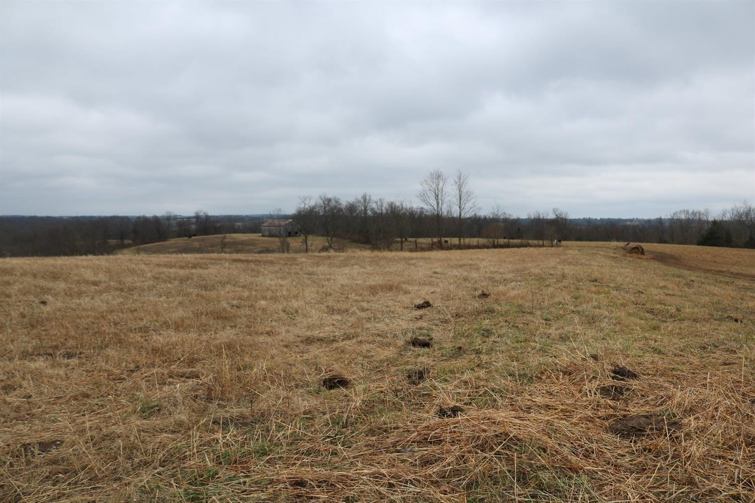 1 Bethel Road Carlisle, KY 40311 - Photo 9 of 40 Photo 9