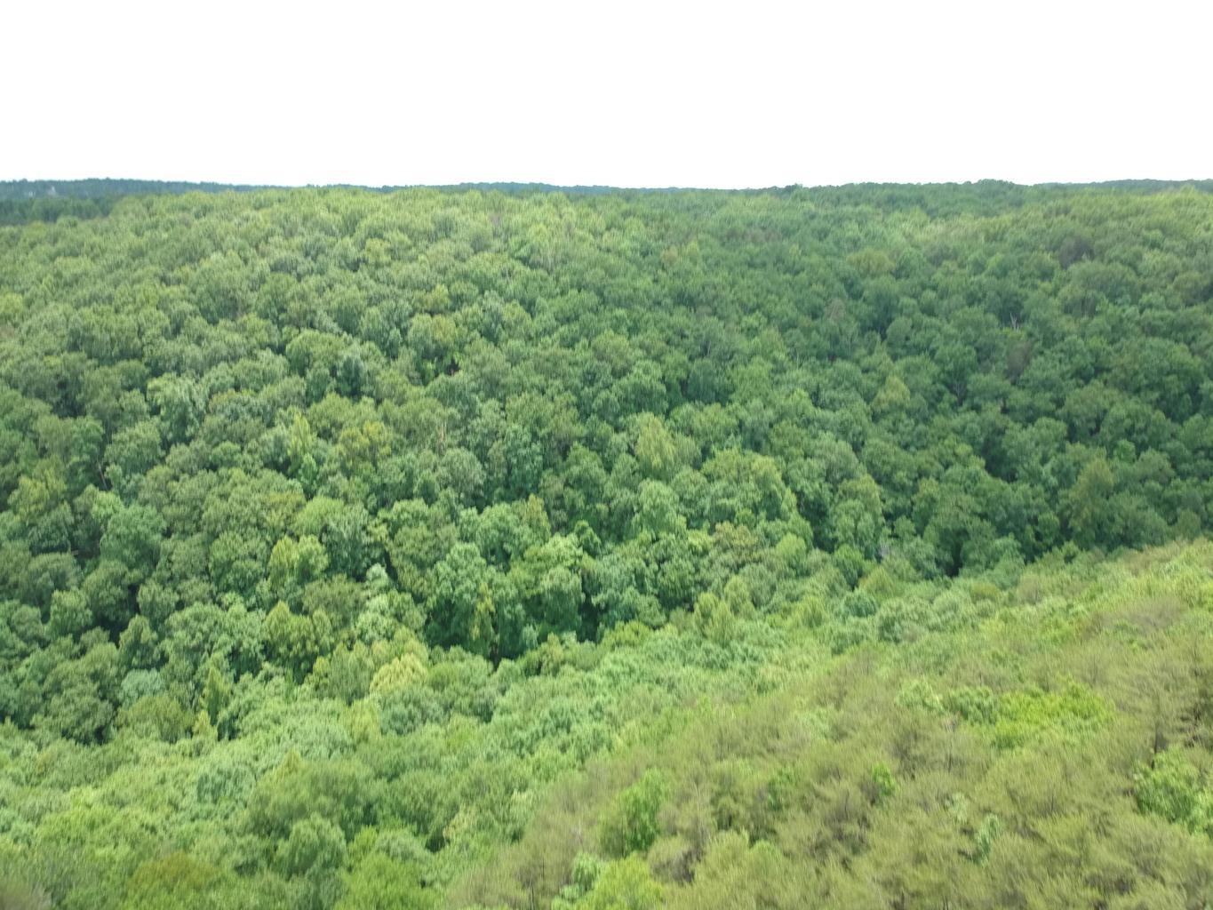 0 Kline Cove Road Trenton, GA 30752 - Photo 12 of 24 20180518193254112848000000-o