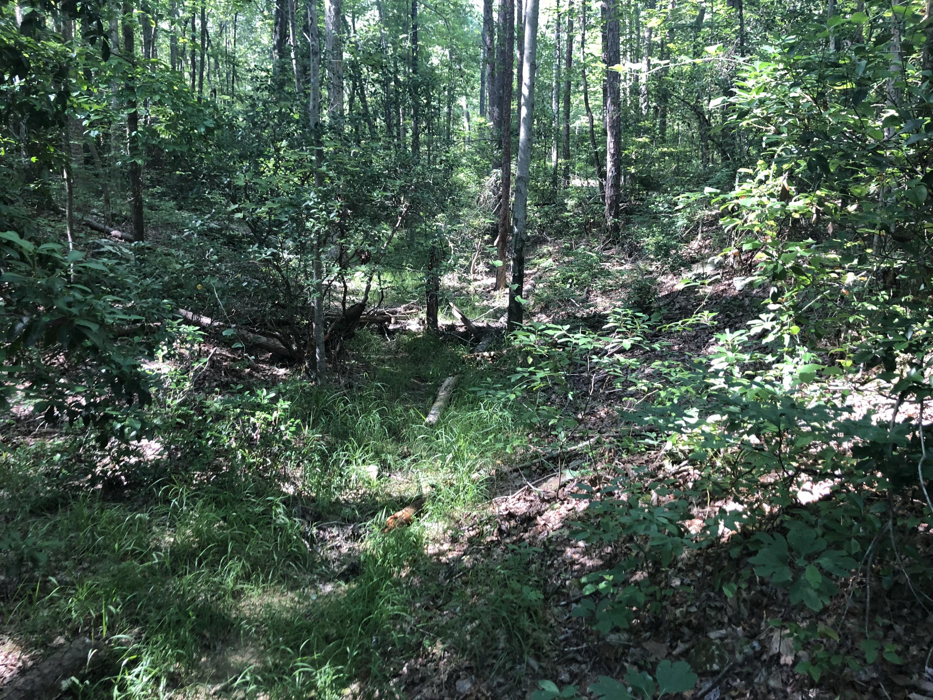 0 Kline Cove Road Trenton, GA 30752 - Photo 21 of 24 IMG_2345