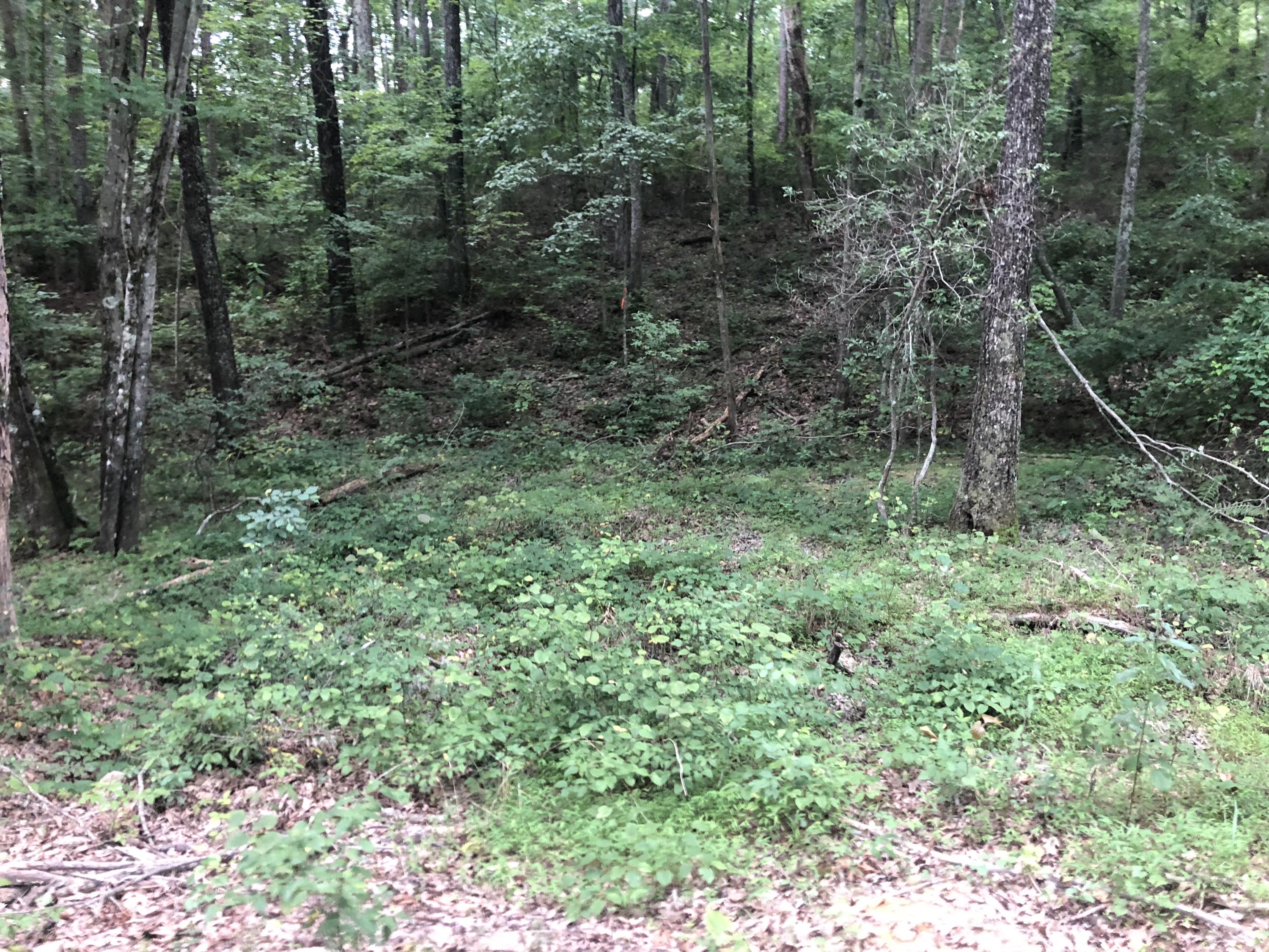 0 Kline Cove Road Trenton, GA 30752 - Photo 23 of 24 IMG_2356