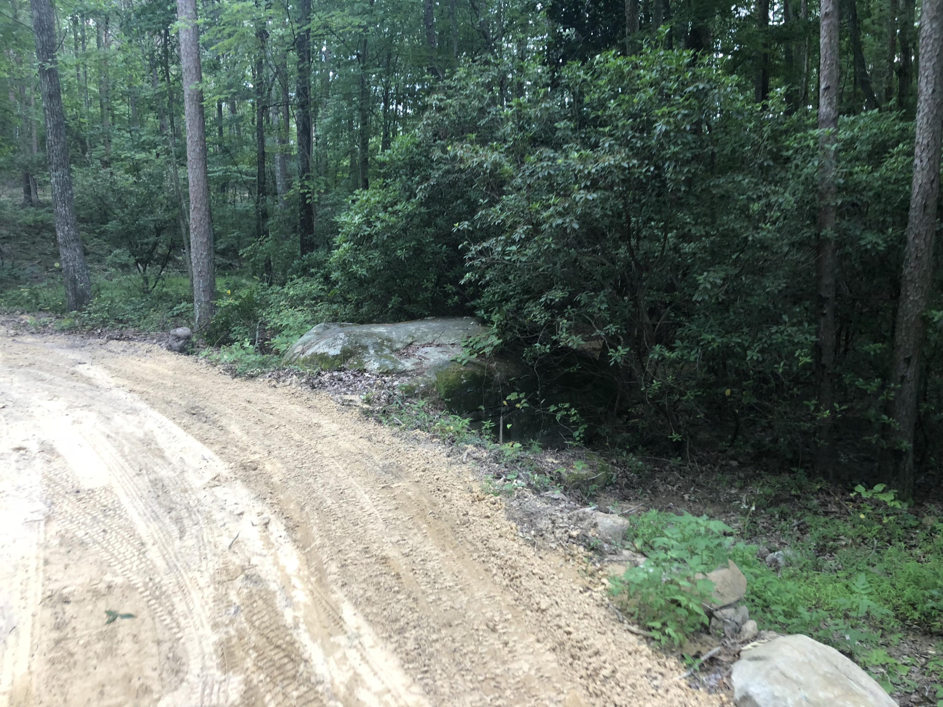 0 Kline Cove Road Trenton, GA 30752 - Photo 5 of 24 IMG_2354