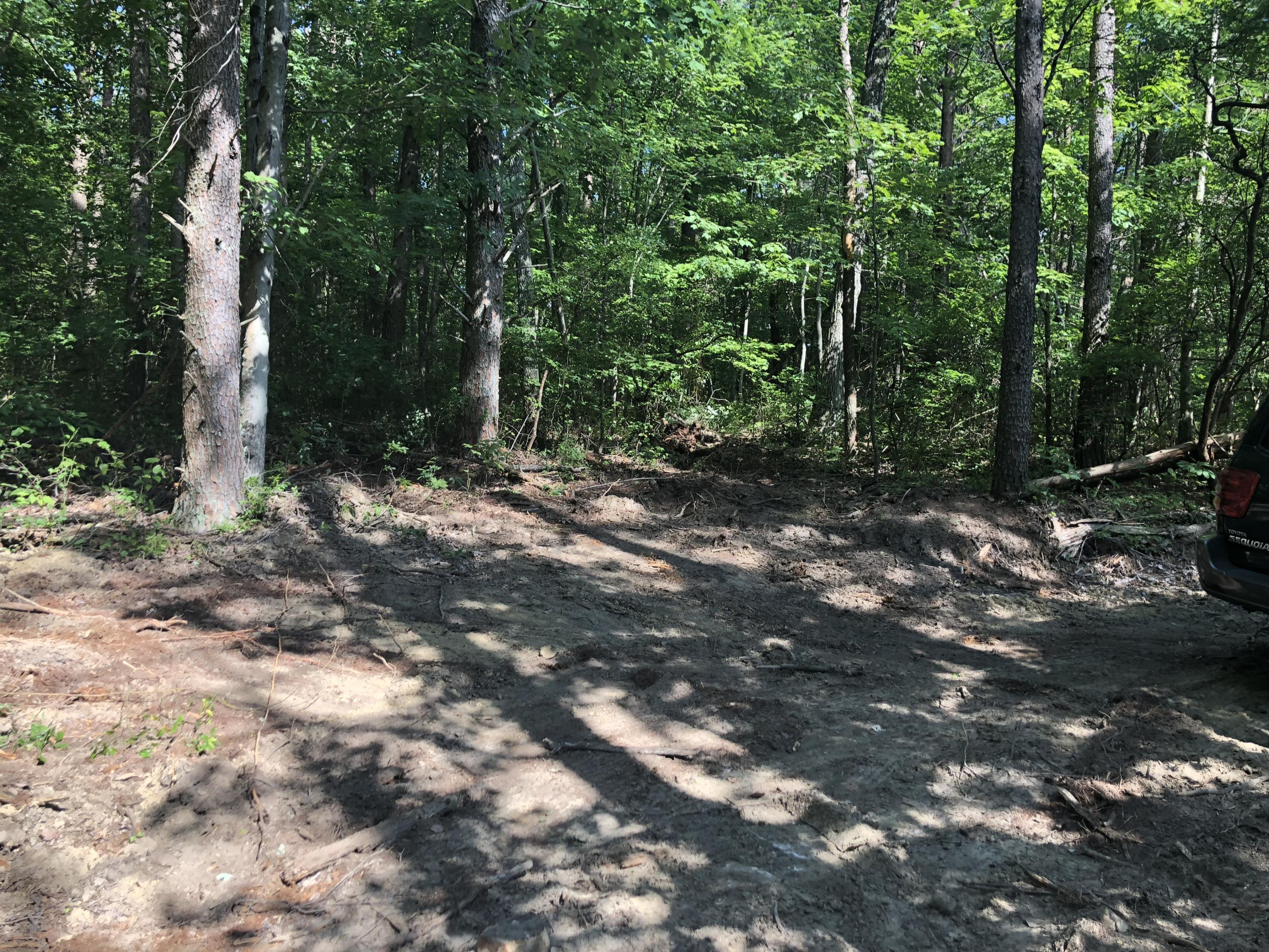 0 Kline Cove Road Trenton, GA 30752 - Photo 8 of 24 IMG_2343