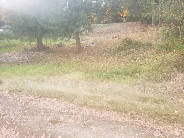 a view of a yard with a tree