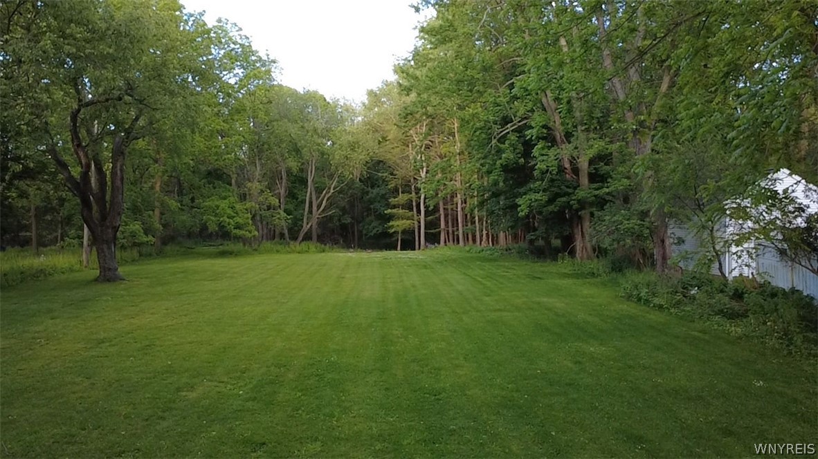 4695 Harris Hill Road Clarence, NY 14221 - Photo 30 of 37