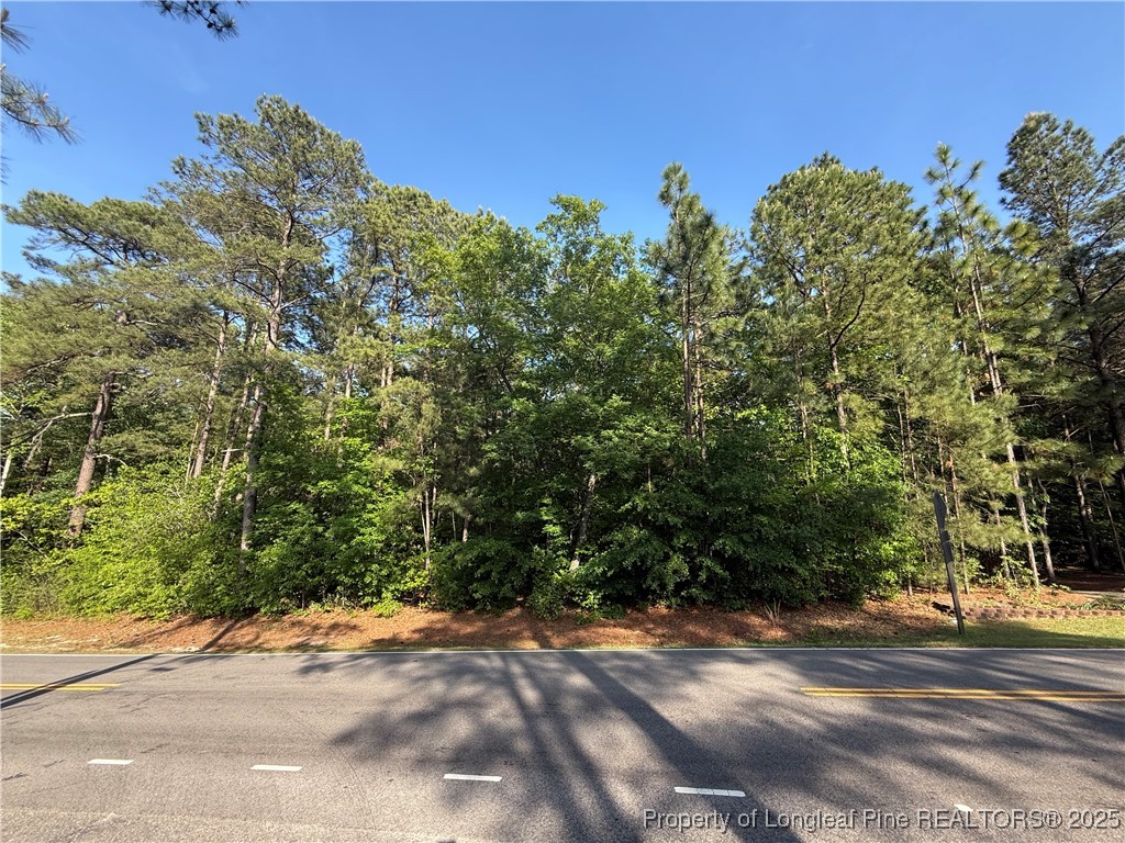 1755 Longleaf Drive East Pinehurst, NC 28374 - Photo 3 of 8