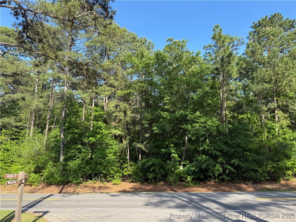 1755 Longleaf Drive East Pinehurst, NC 28374 - Photo 4 of 8