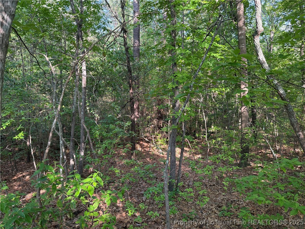 1755 Longleaf Drive East Pinehurst, NC 28374 - Photo 5 of 8