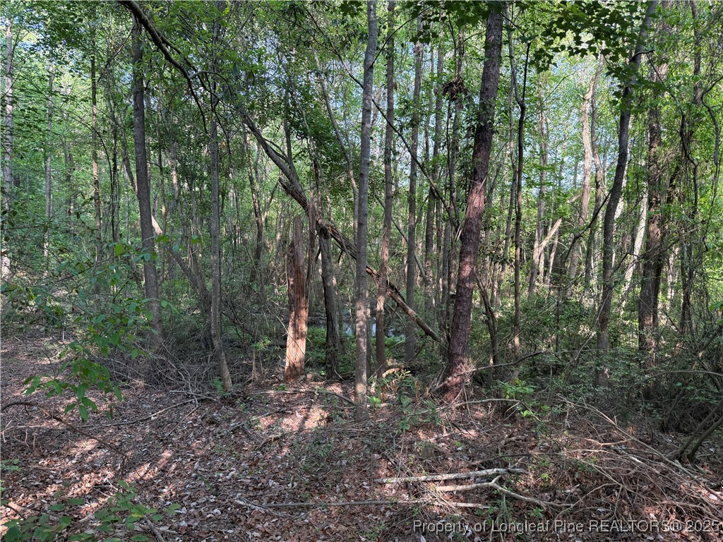 1755 Longleaf Drive East Pinehurst, NC 28374 - Photo 6 of 8