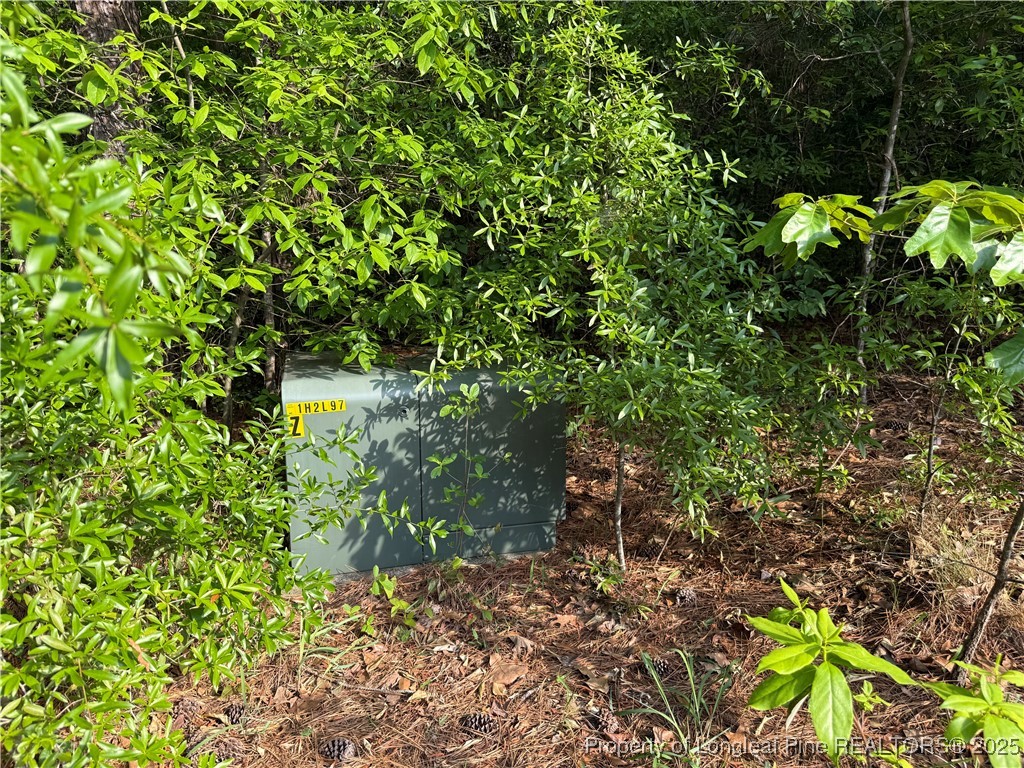 1755 Longleaf Drive East Pinehurst, NC 28374 - Photo 7 of 8