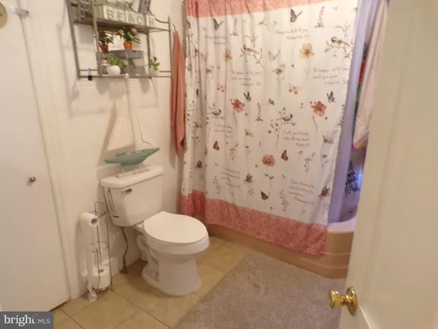 a bathroom with a toilet and a shower curtain