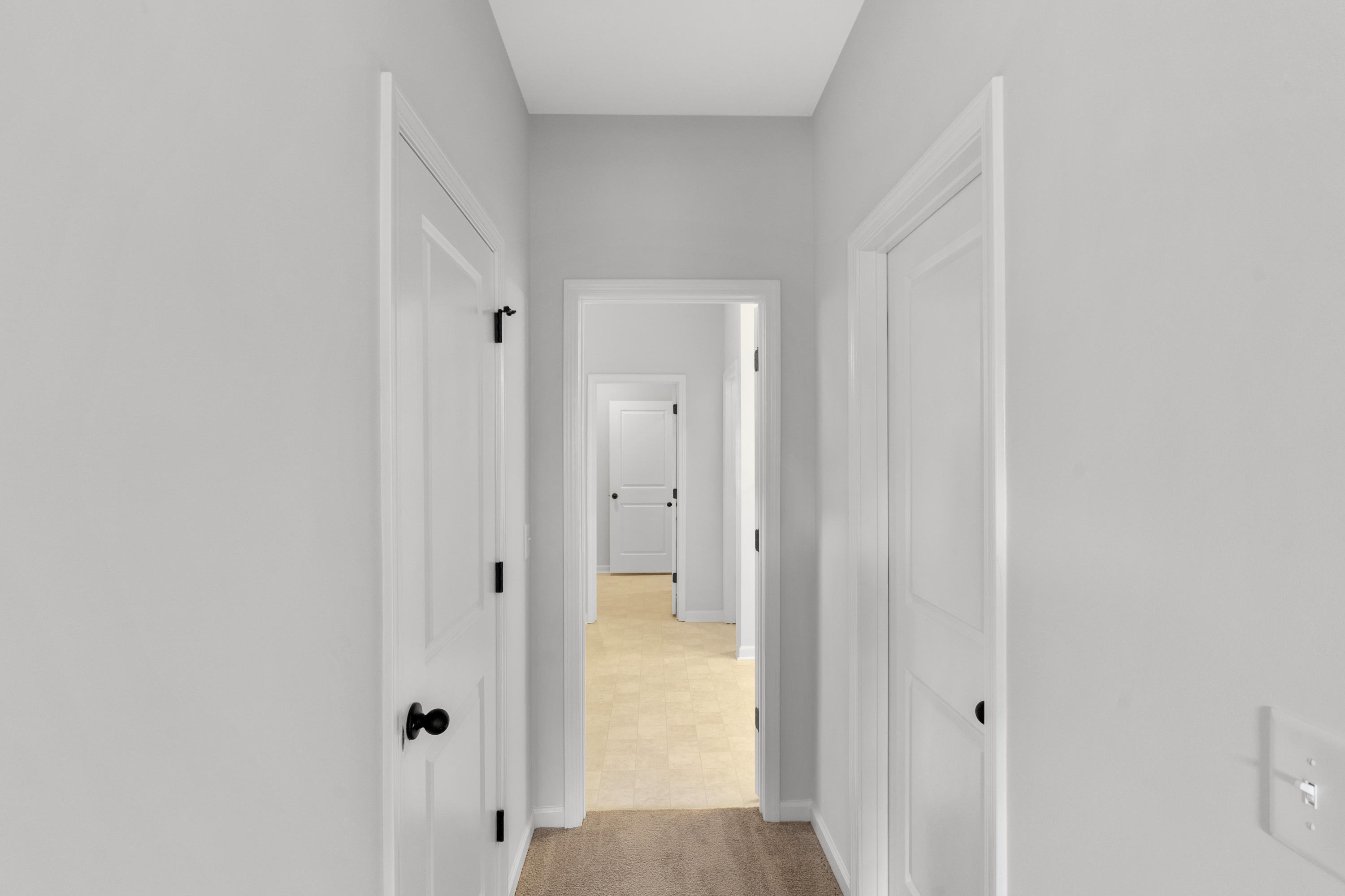683 Black Pine Road Moncks Corner, SC 29461 - Photo 20 of 49 SDH09275