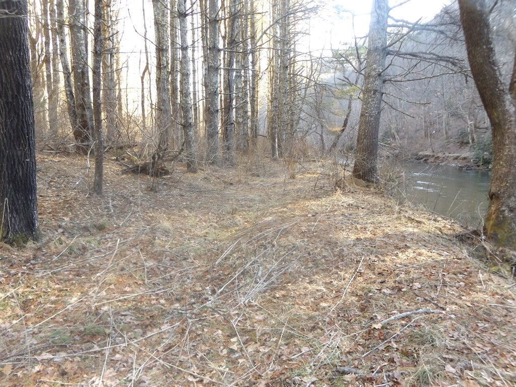 Tbd Old Jackson Mill Road, Unit 1 Laurel Fork, VA 24352 - Photo 16 of 16 Gallery Image 16