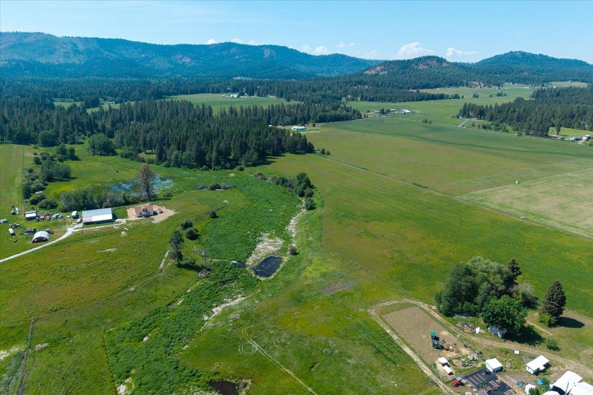 4668 Williams Valley Road Clayton, WA 99110 - Photo 5 of 44