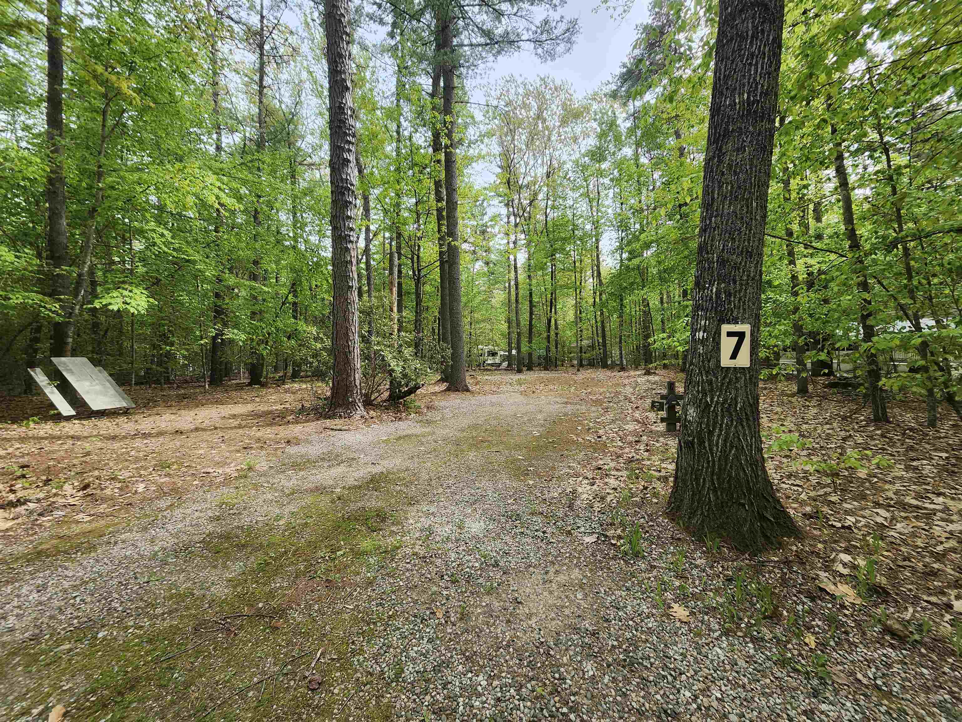 Lot 7 Pine Road East Wakefield, NH 03830 - Photo 1 of 11