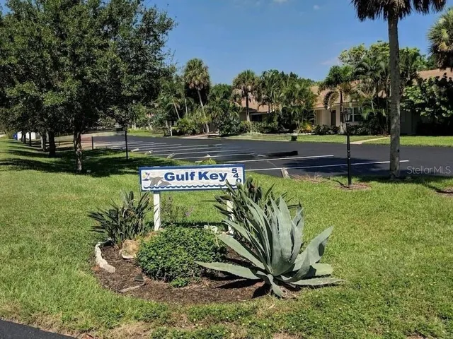 a view of a park with plants and trees