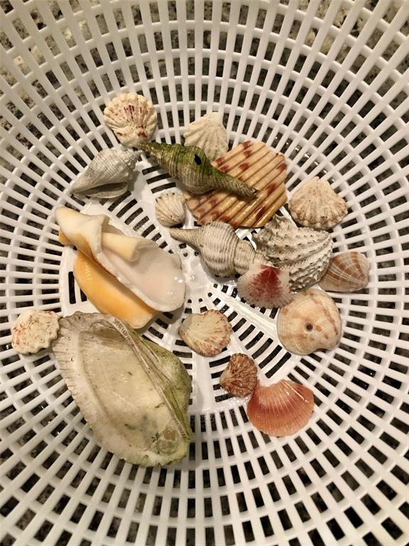 540 Neptune Avenue, Unit 7 Longboat Key, FL 34228 - Photo 10 of 12 a picture of a black white checkered floor