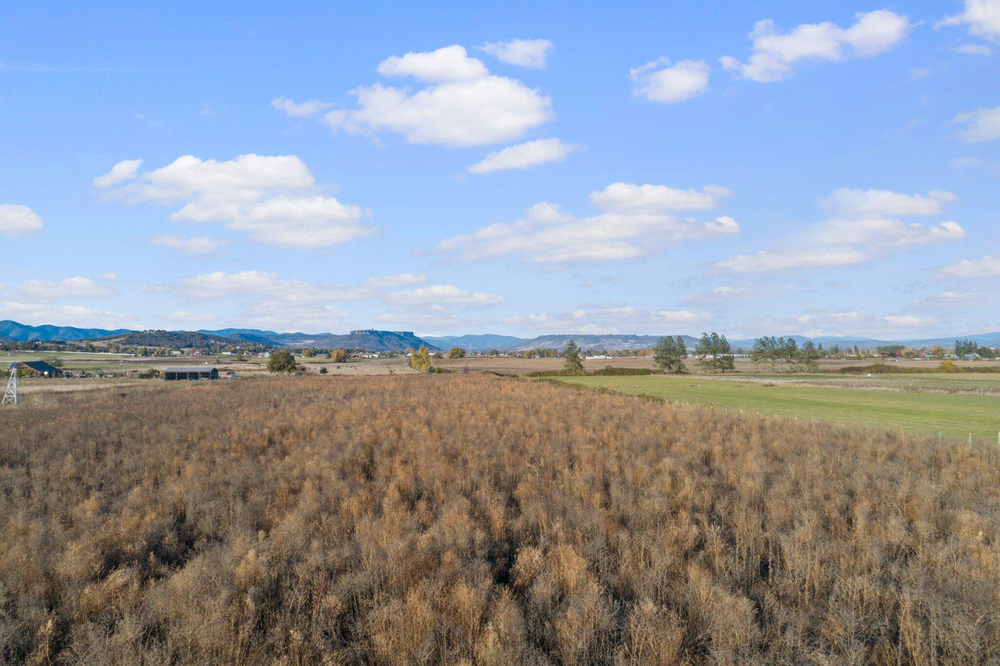 3320 Taylor Road Central Point, OR 97502 - Photo 9 of 33 5-web-or-mls-DJI_0033