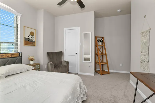 a view of a backyard with large trees and wooden fence