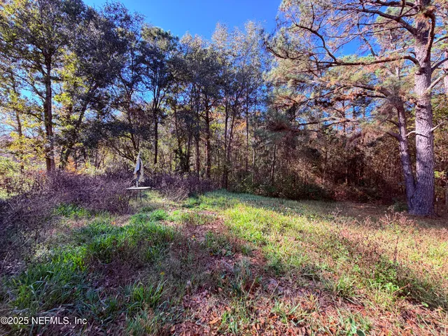 a view of a yard with a tree