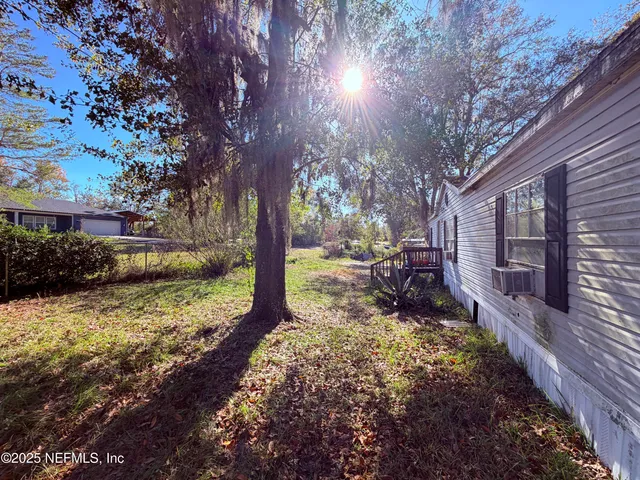 a view of a yard with plants and large trees