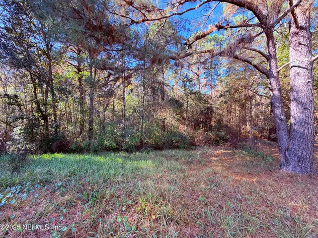 $129,000 | 167 Peppermint Avenue, Middleburg, FL 32068