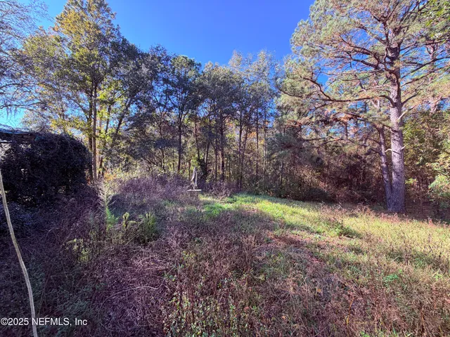 $129,000 | 167 Peppermint Avenue, Middleburg, FL 32068