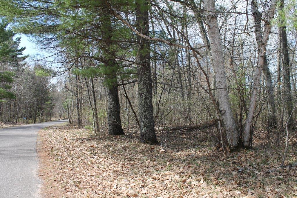 On Numa Road, Unit LOT 15 Hazelhurst, WI 54531 - Photo 9 of 23 Gallery Image 9