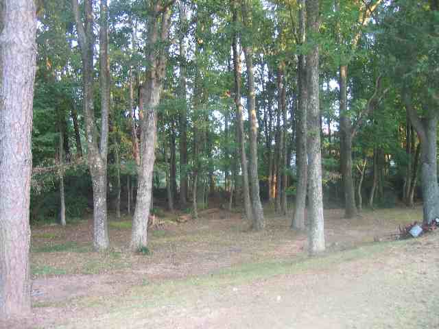 319 Kimbrell Road Taylors, SC 29687 - Photo 2 of 12 Gallery Image 2