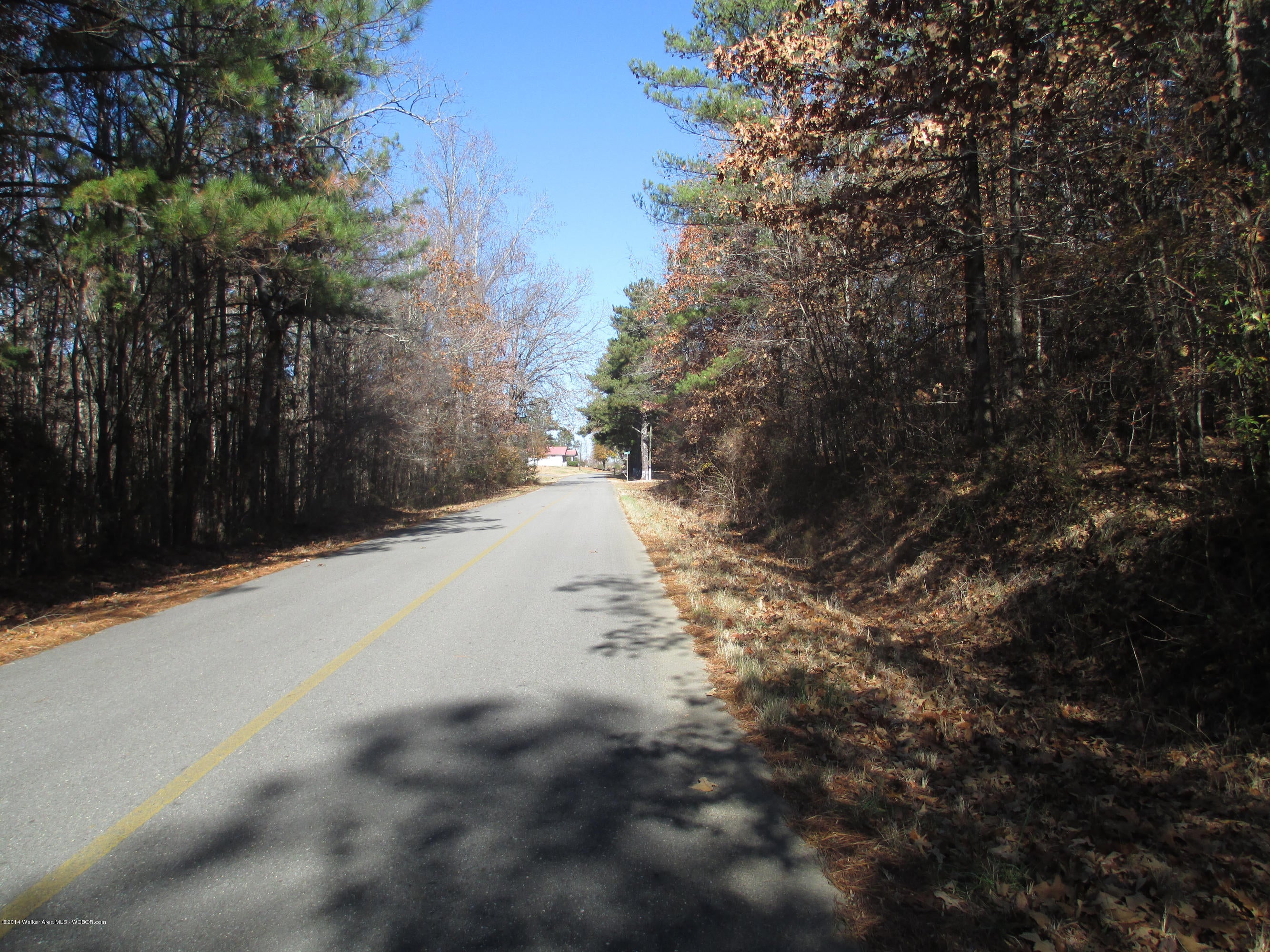 Mill Creek Road Nauvoo, AL 35578 - Photo 3 of 4 Gallery Image 3