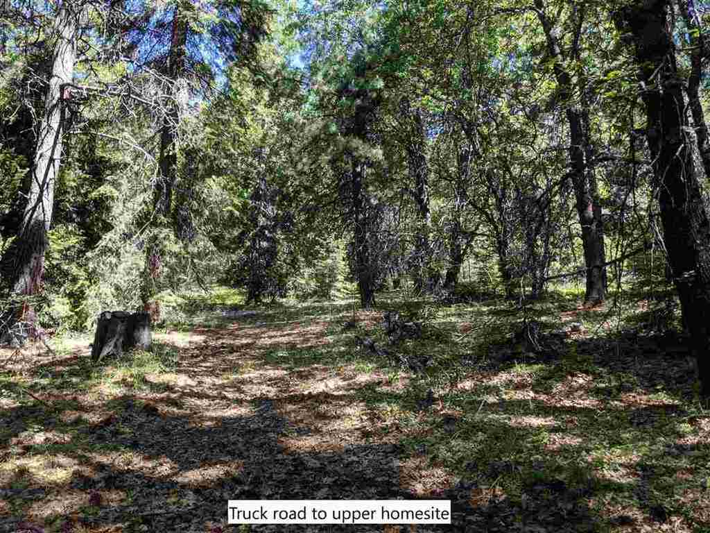 3 Deetz Road Rd Mount Mount Shasta, CA 96067 - Photo 22 of 37 Gallery Image 22