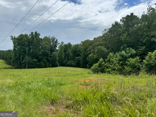 a view of a big yard with lots of green space and mountain view