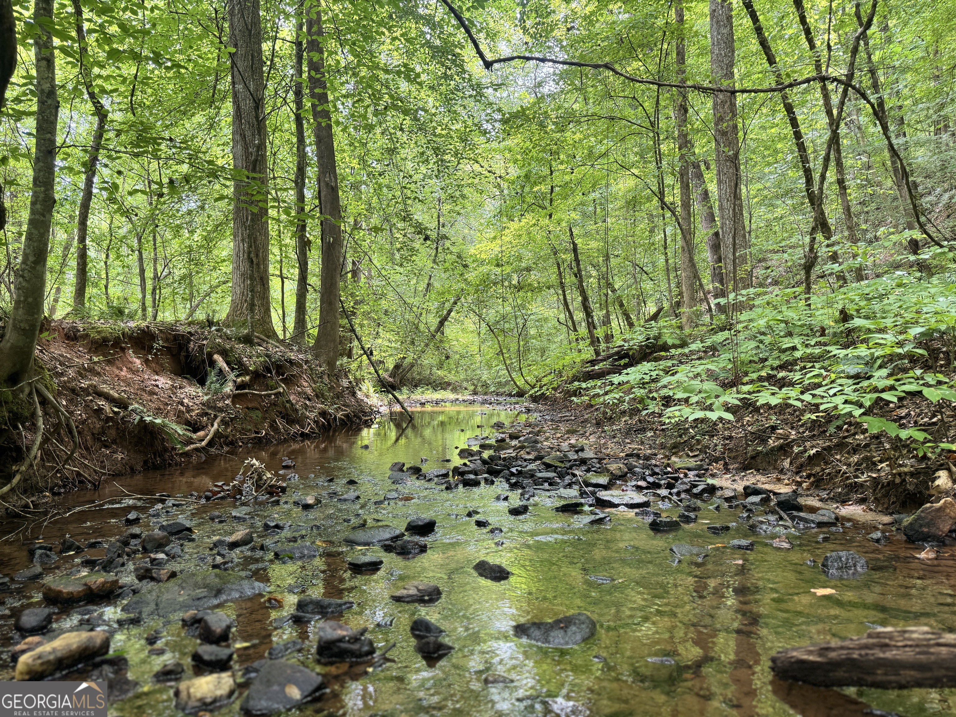 180.14-ac Johnson Mill Road Hamilton, GA 31811 - Photo 3 of 13 a view of swimming pool of a house with a yard