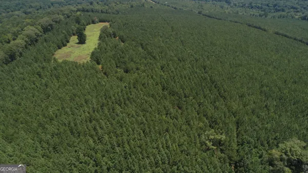 a close up of a small yard