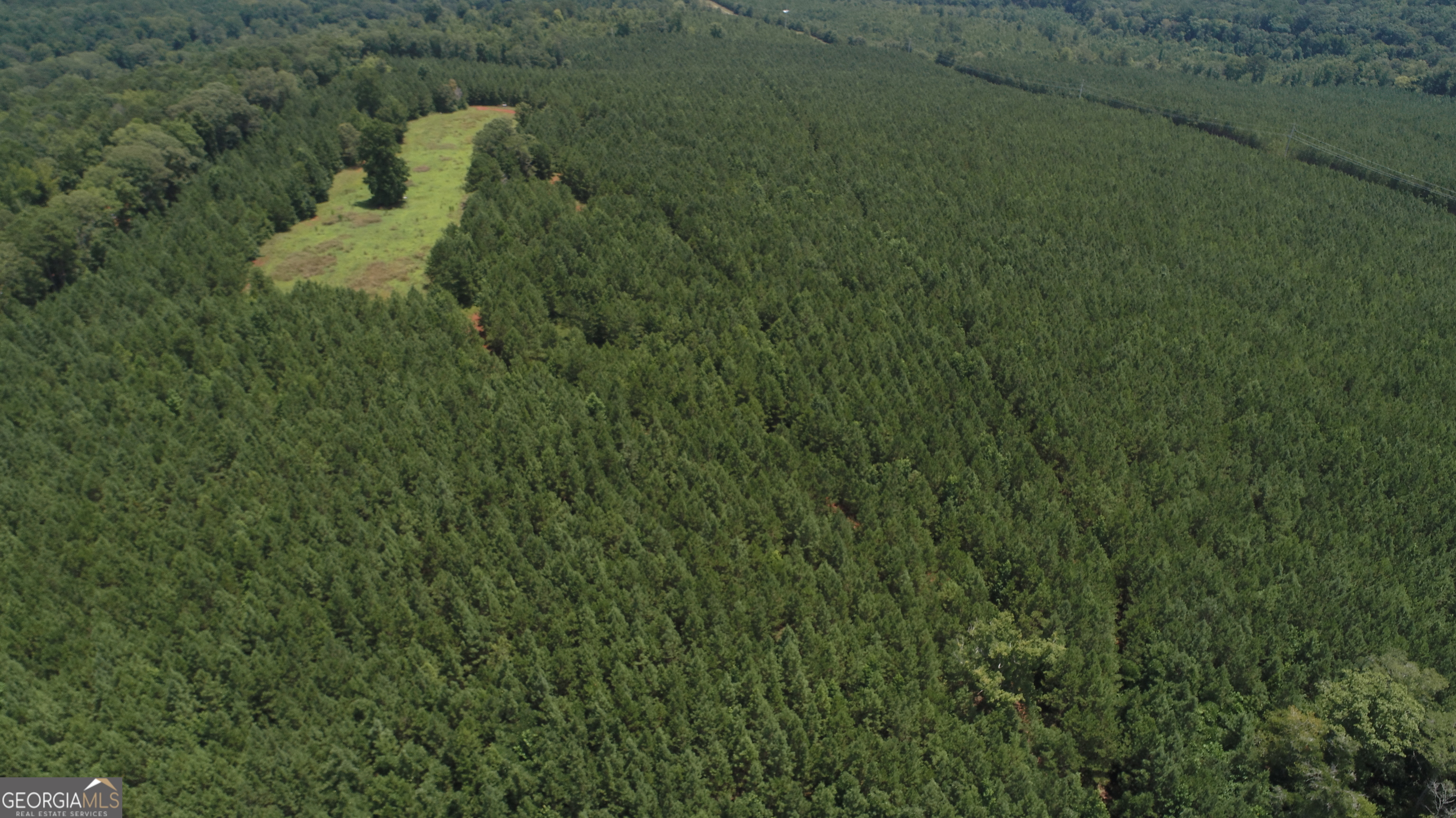 180.14-ac Johnson Mill Road Hamilton, GA 31811 - Photo 5 of 13 a close up of a small yard